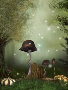 legal magic mushroom retreat