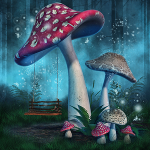 magic mushroom ceremony